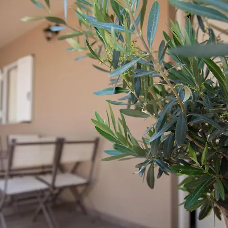 Lithostroto Loft Argostoli (Kefalonia)